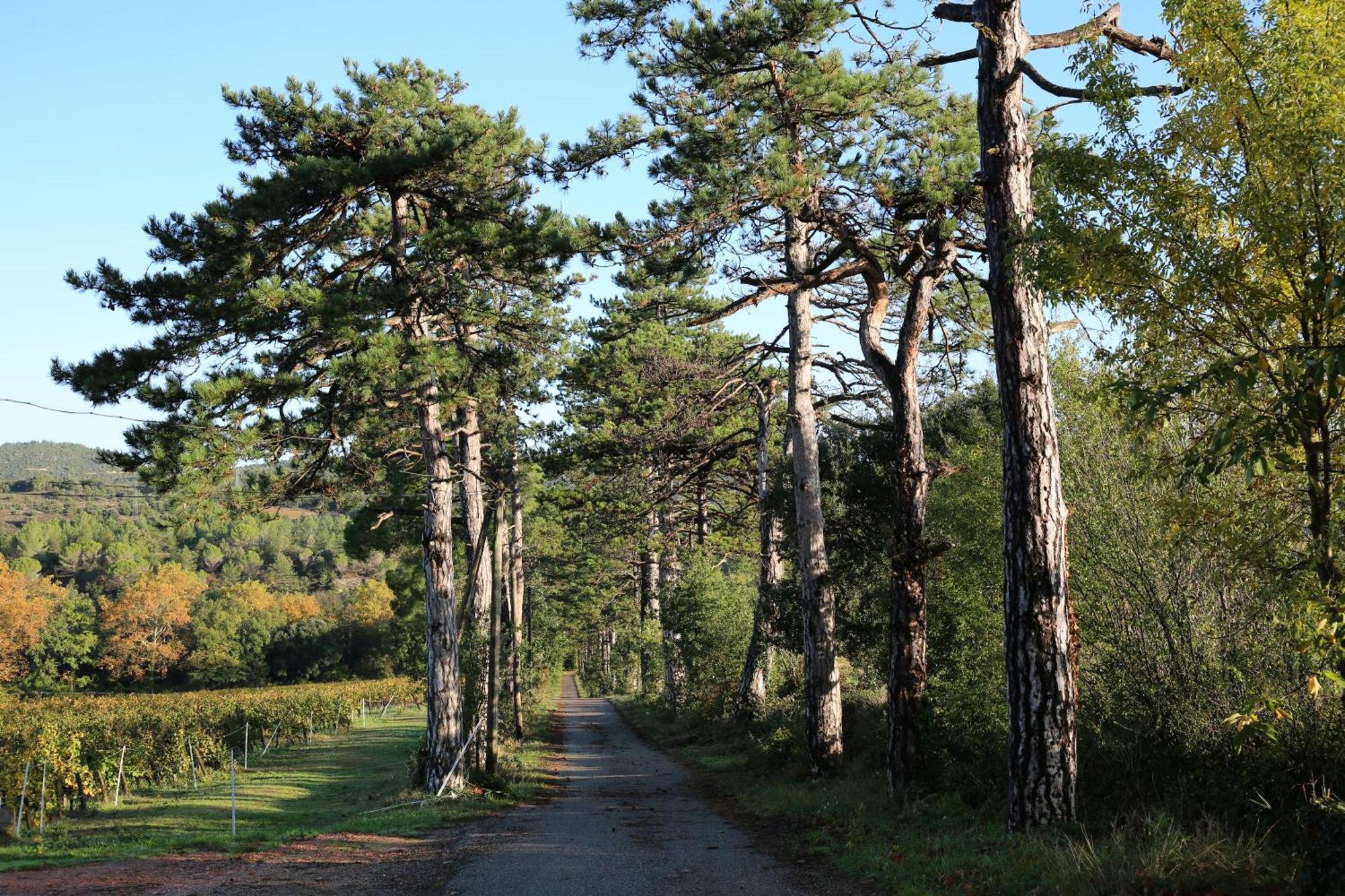 Gres Vaillant Villa Saint-Polycarpe Buitenkant foto